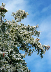 Similar image 220443