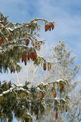 Similar image 220446