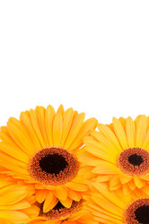 Similar image 220448