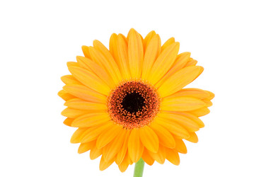 Similar image 220450