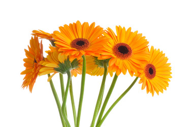 Similar image 220452