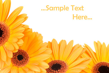 Similar image 220454