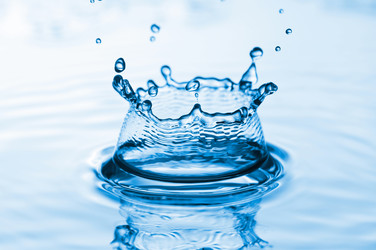 Similar image 220461