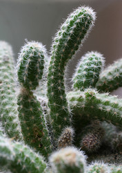 Similar image 220471