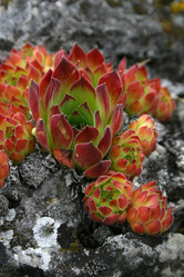 Similar image 220521