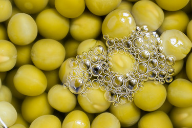 Similar image 220537