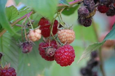 Similar image 220560