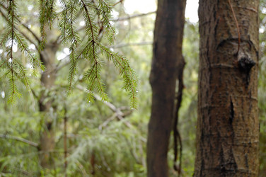 Similar image 220616