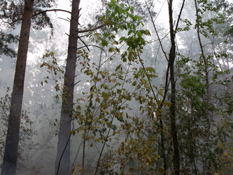 Similar image 220620