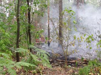 Similar image 220625