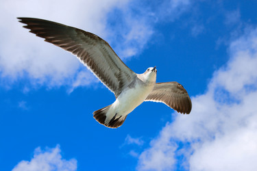 Similar image 220640