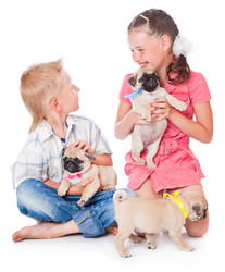 Similar image 220664