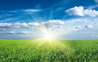 Similar image 220749