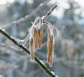 Similar image 220798