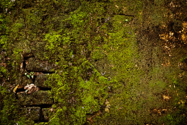 Similar image 220819