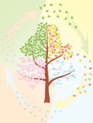 Similar image 220835