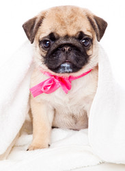 Similar image 220870