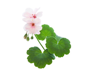 Similar image 220889