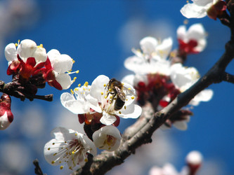 Similar image 220960