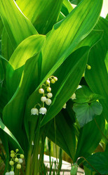 Similar image 220972