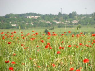 Similar image 220977