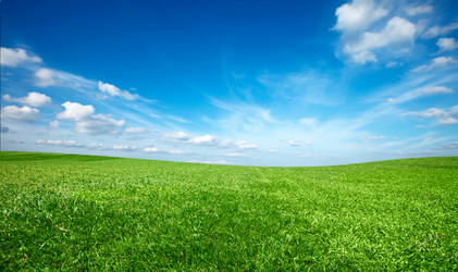 Similar image 221000