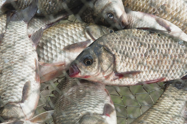 Similar image 221009