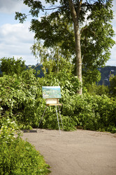 Similar image 221037