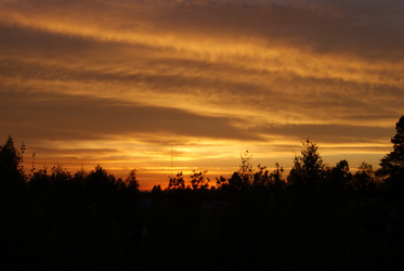 Similar image 221042