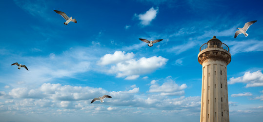 Similar image 221082