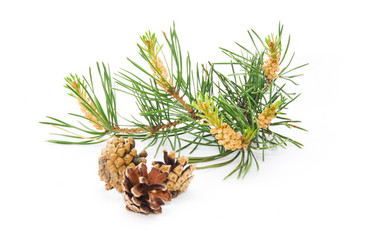 Similar image 221088