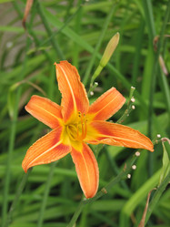 Similar image 221089