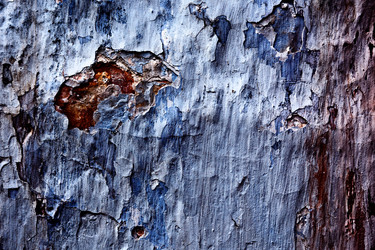 Similar image 221119