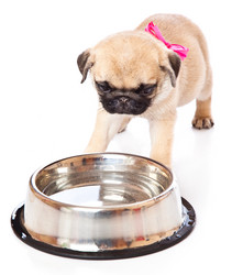 Similar image 221130