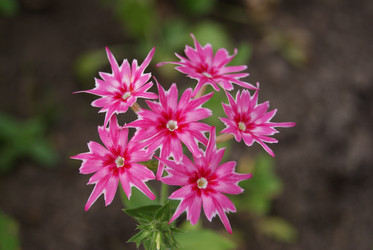 Similar image 221154