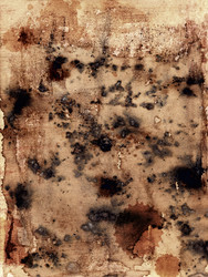 Similar image 221189