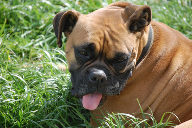 Similar image 221203