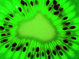 Similar image 221213