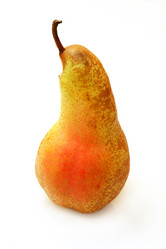 Similar image 221241