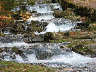 Similar image 221271