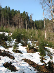 Similar image 221278