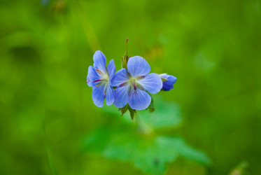 Similar image 221300