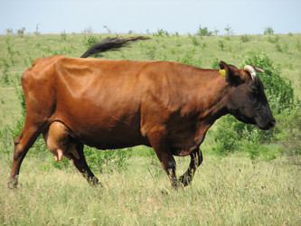 Similar image 221303