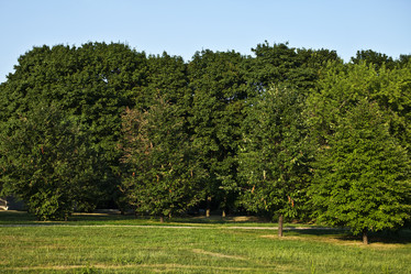 Similar image 221305