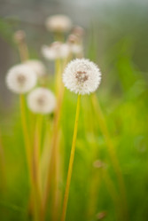 Similar image 221308