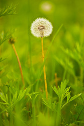 Similar image 221309