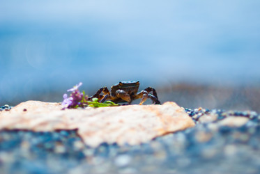 Similar image 221332