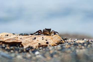 Similar image 221333