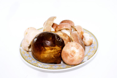 Similar image 221345