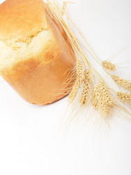 Similar image 221355